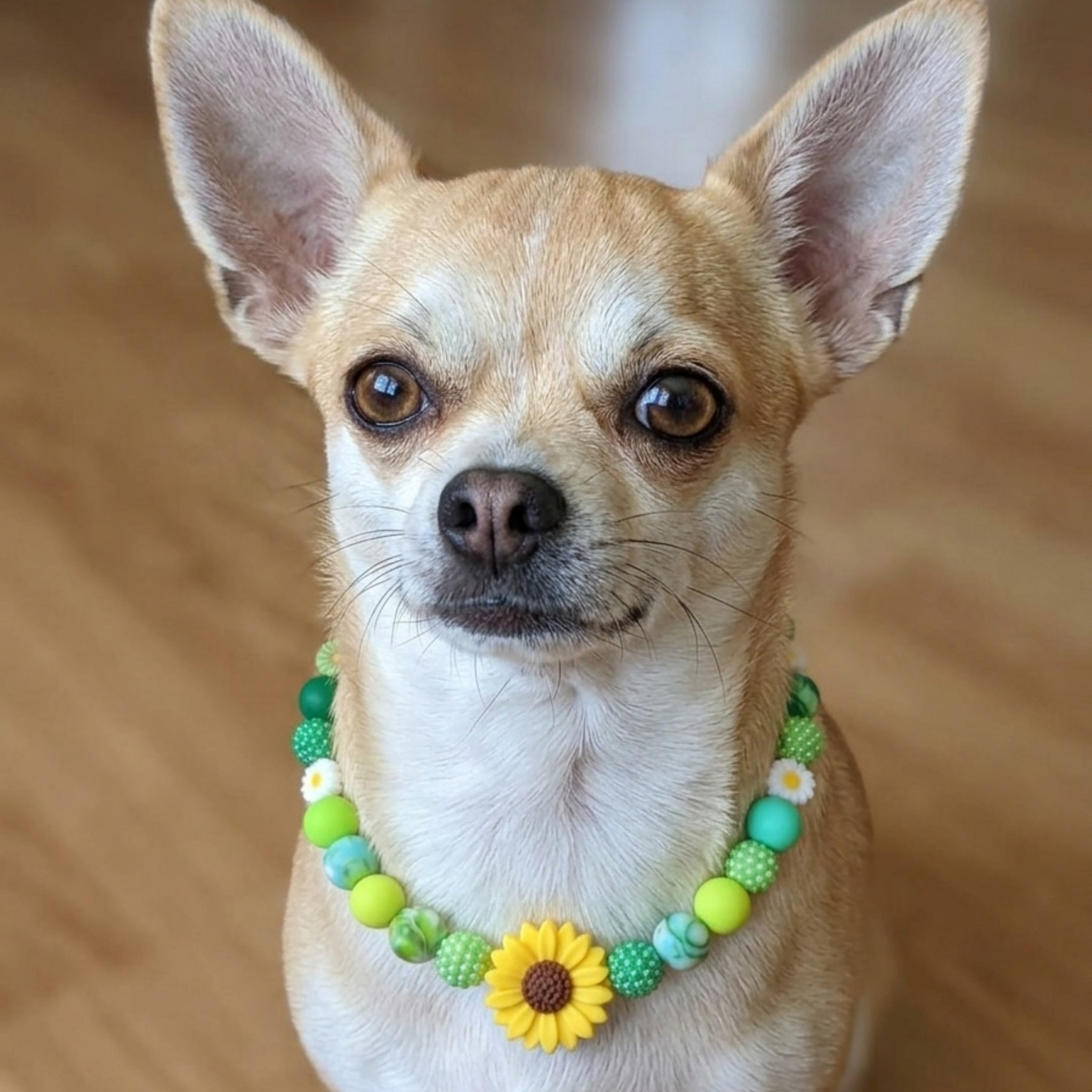 Collana per Cani in Morbido Silicone – Perle 10mm